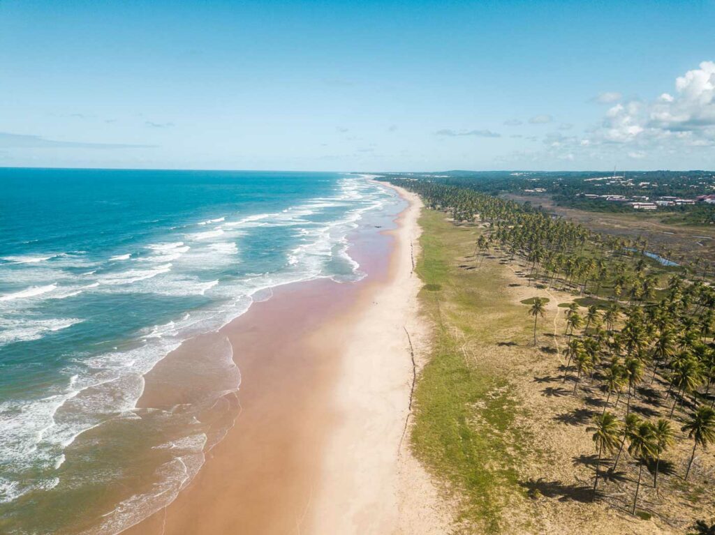 Opções de lazer próximo à Praia do Forte: Descobertas e aventuras no litoral norte da Bahia